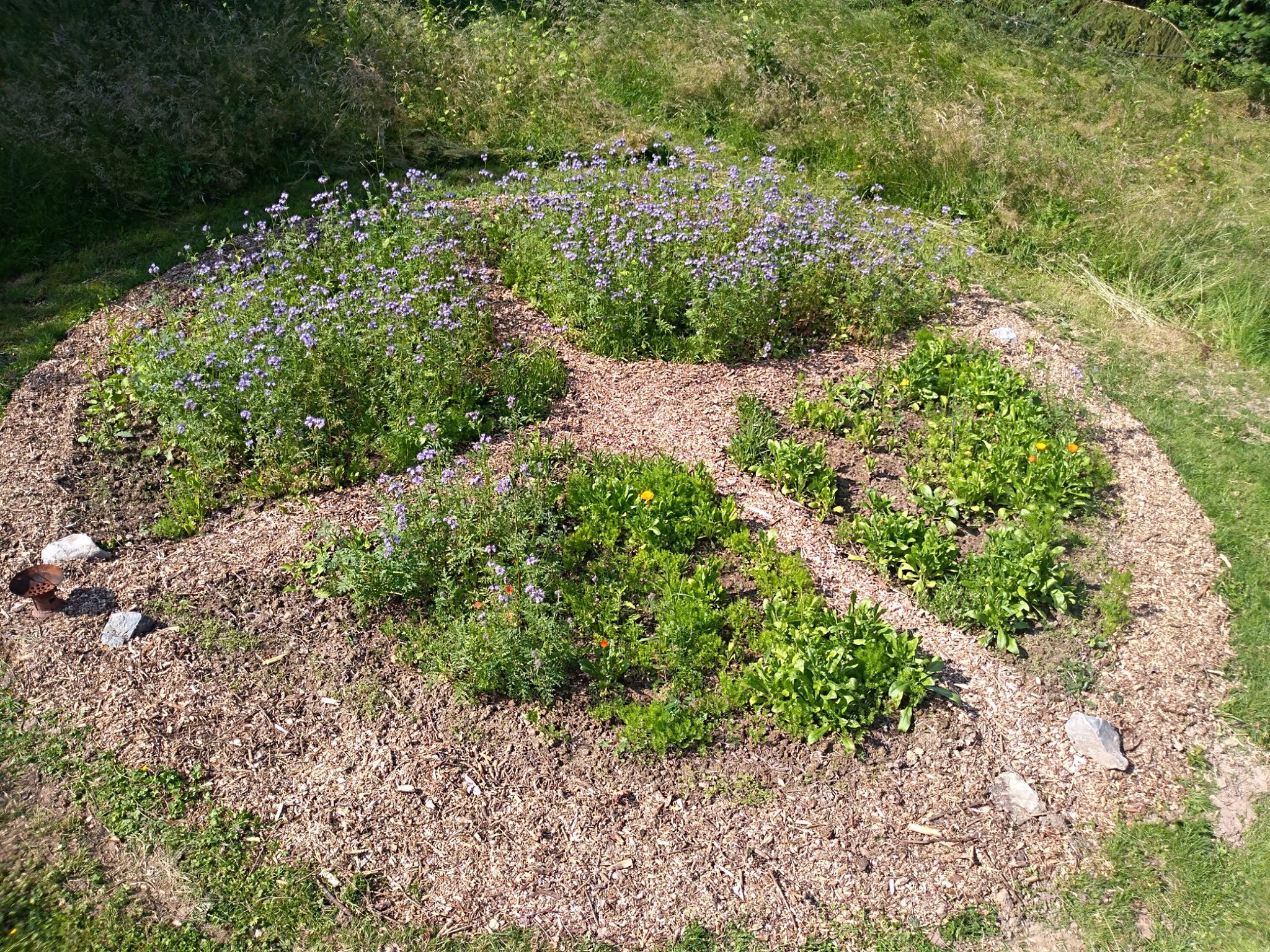 jardinroue
