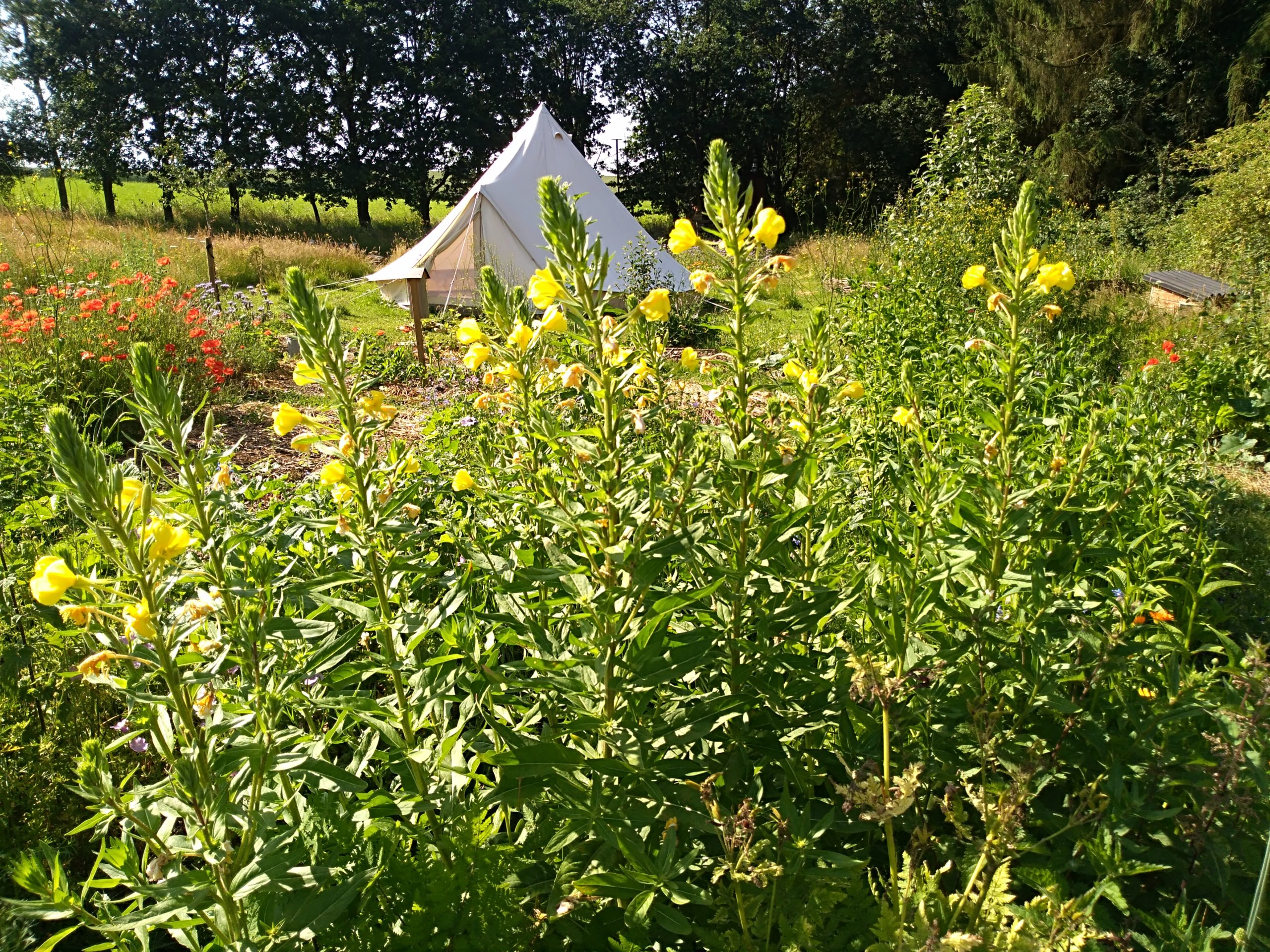 jardinarttisane1