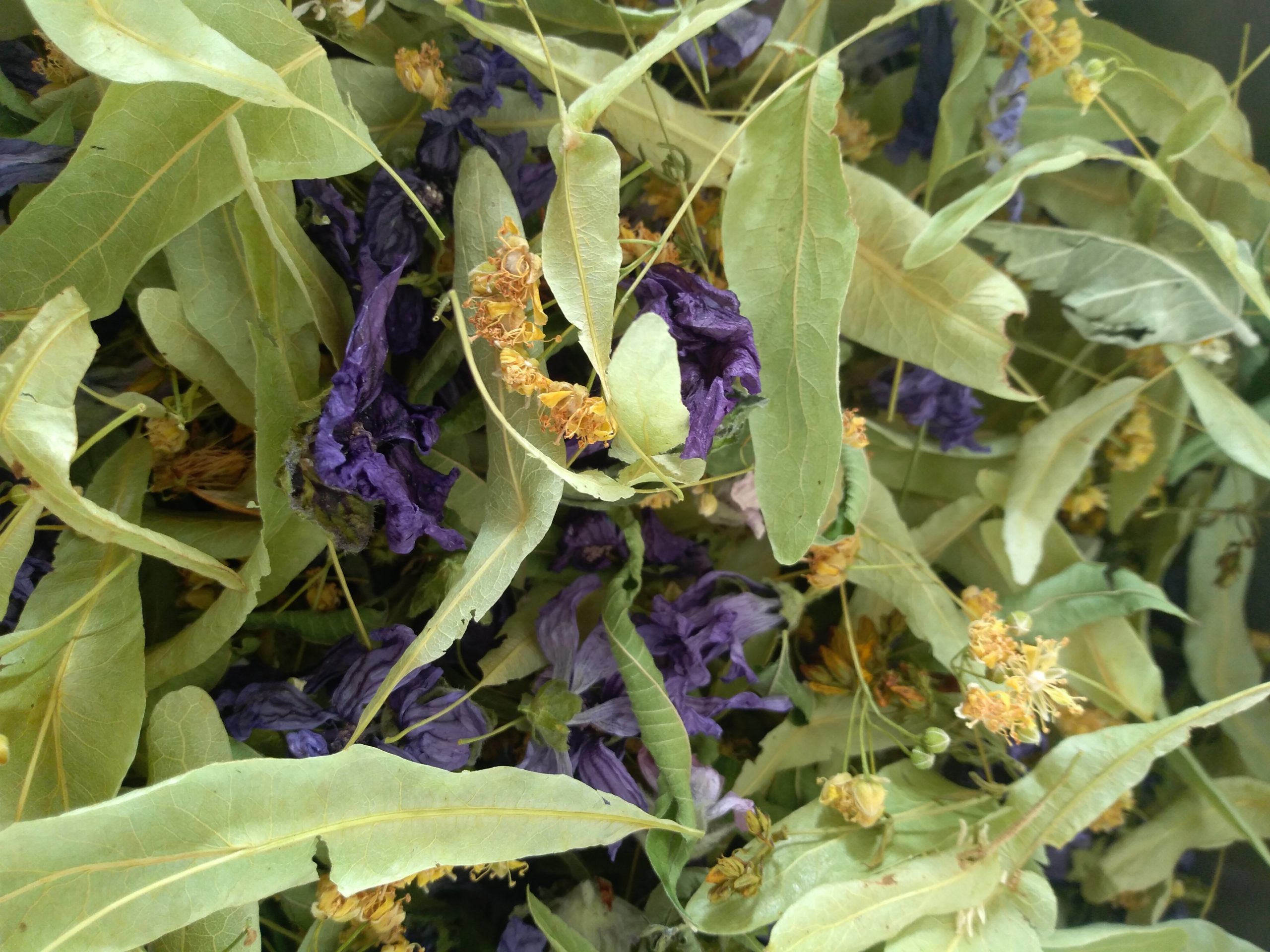 Tisane "Dans le ventre de la terre"